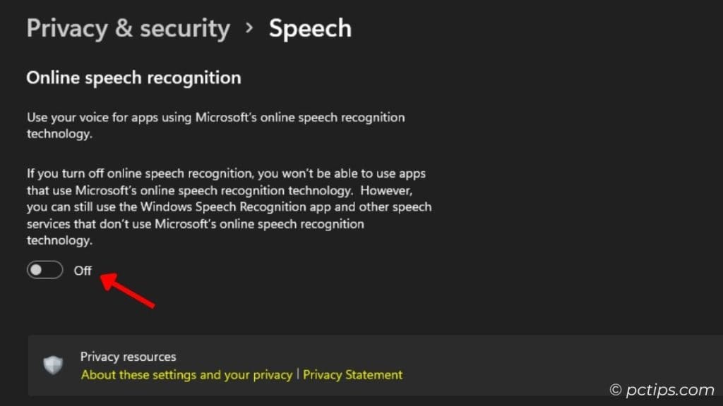 turn off online speech recognition