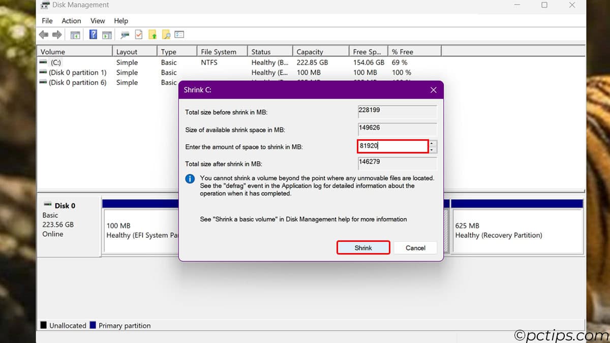 Shrink-Disk-Volume