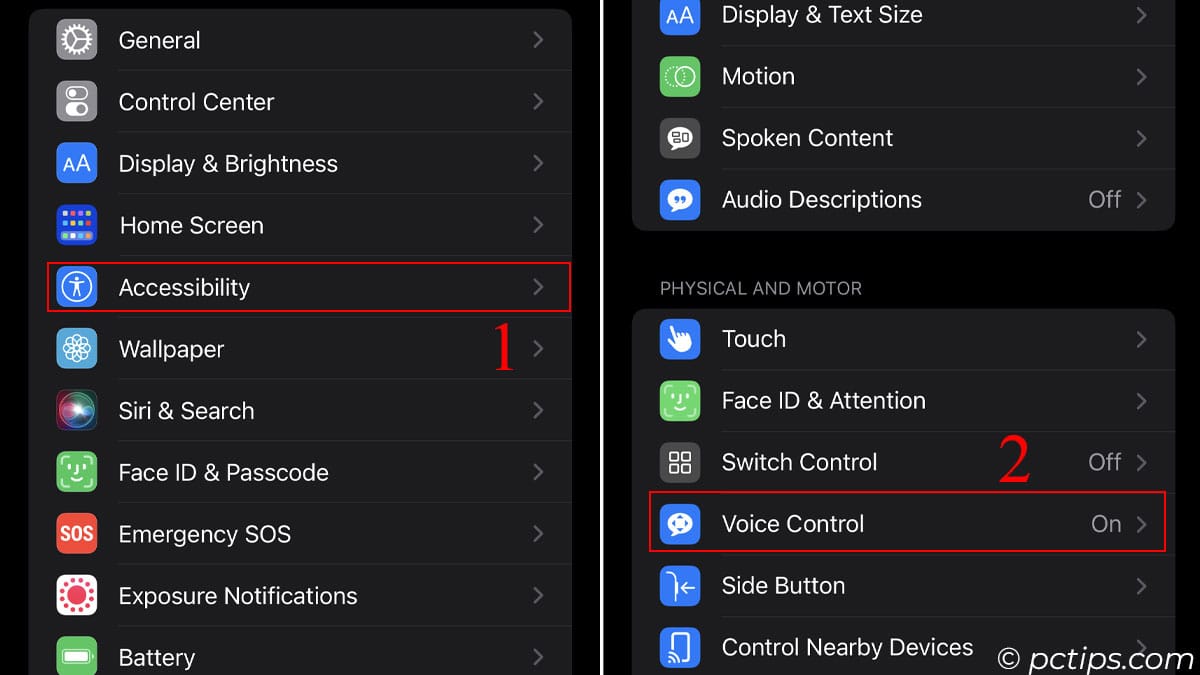 voice control settings