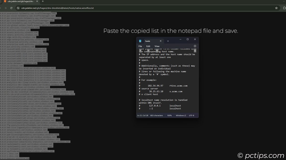 Paste the copied files into notepad