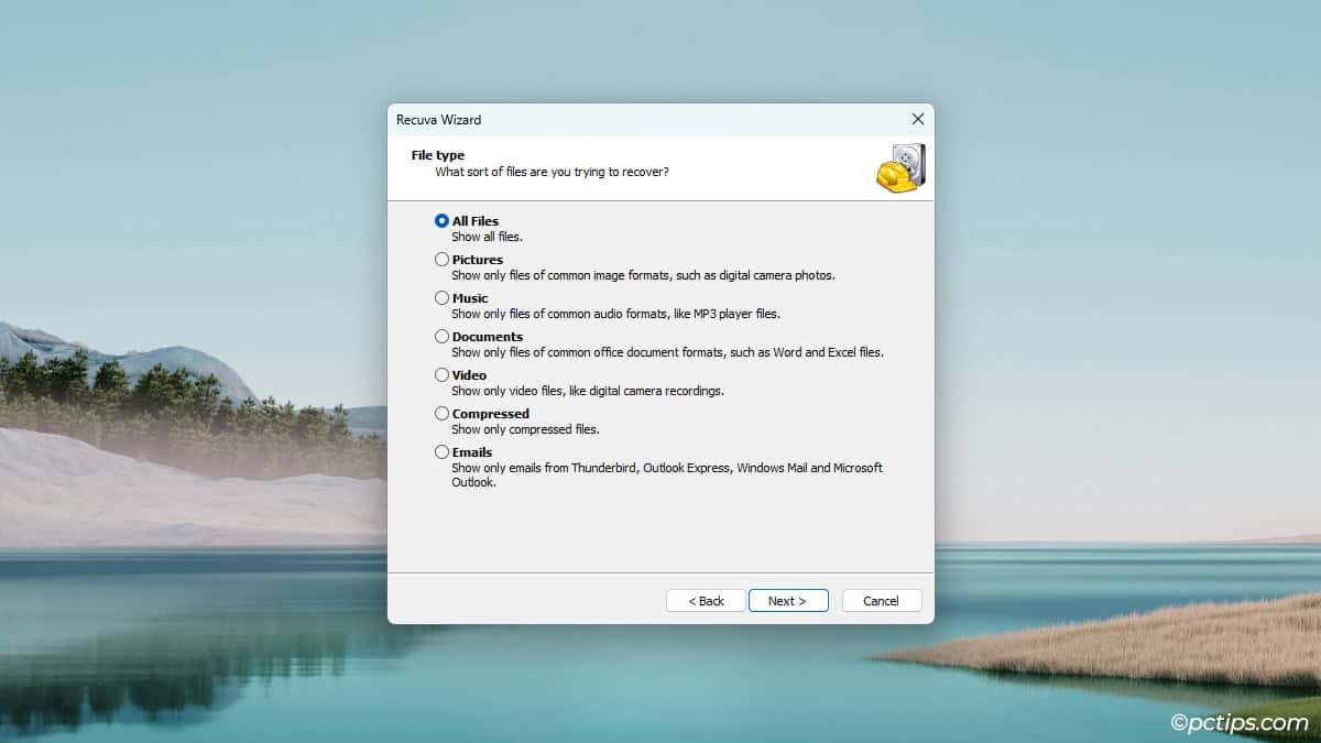 recuva-wizard-file-type