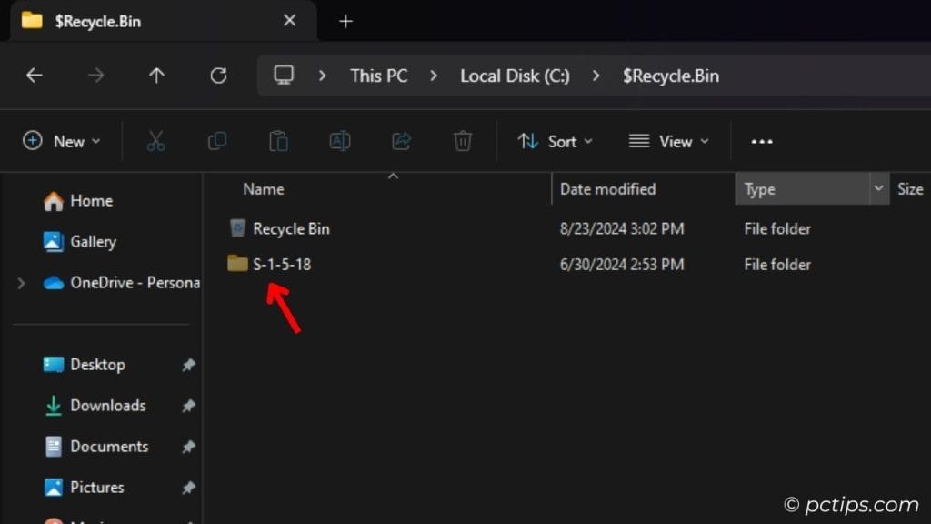 cryptic name inside recycle bin folder