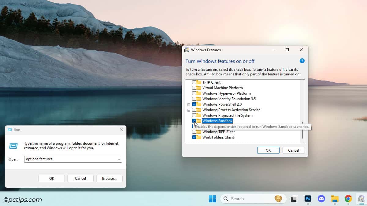 optional-features-windows-sandbox