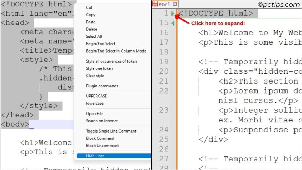 hiding lines in notepad++